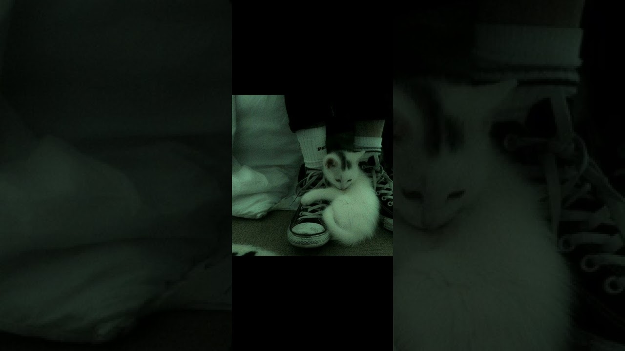 DOM M- aqueles olhos (sped up)