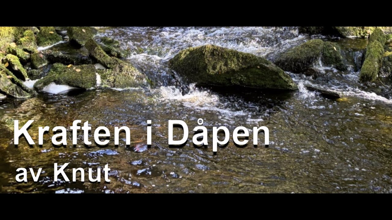Kraften i Dåpen av Knut
