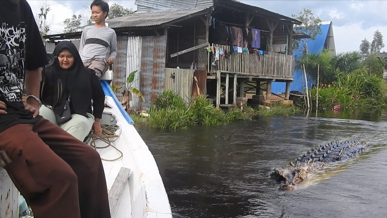 expedisi panjang keluar dari sarang buaya melewati empat jembatan besar