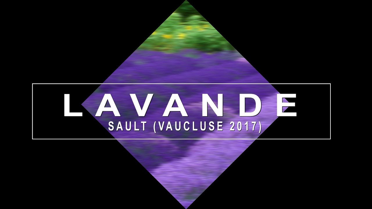 Tuto MVD: créer une intro avec un effet de titre animé.