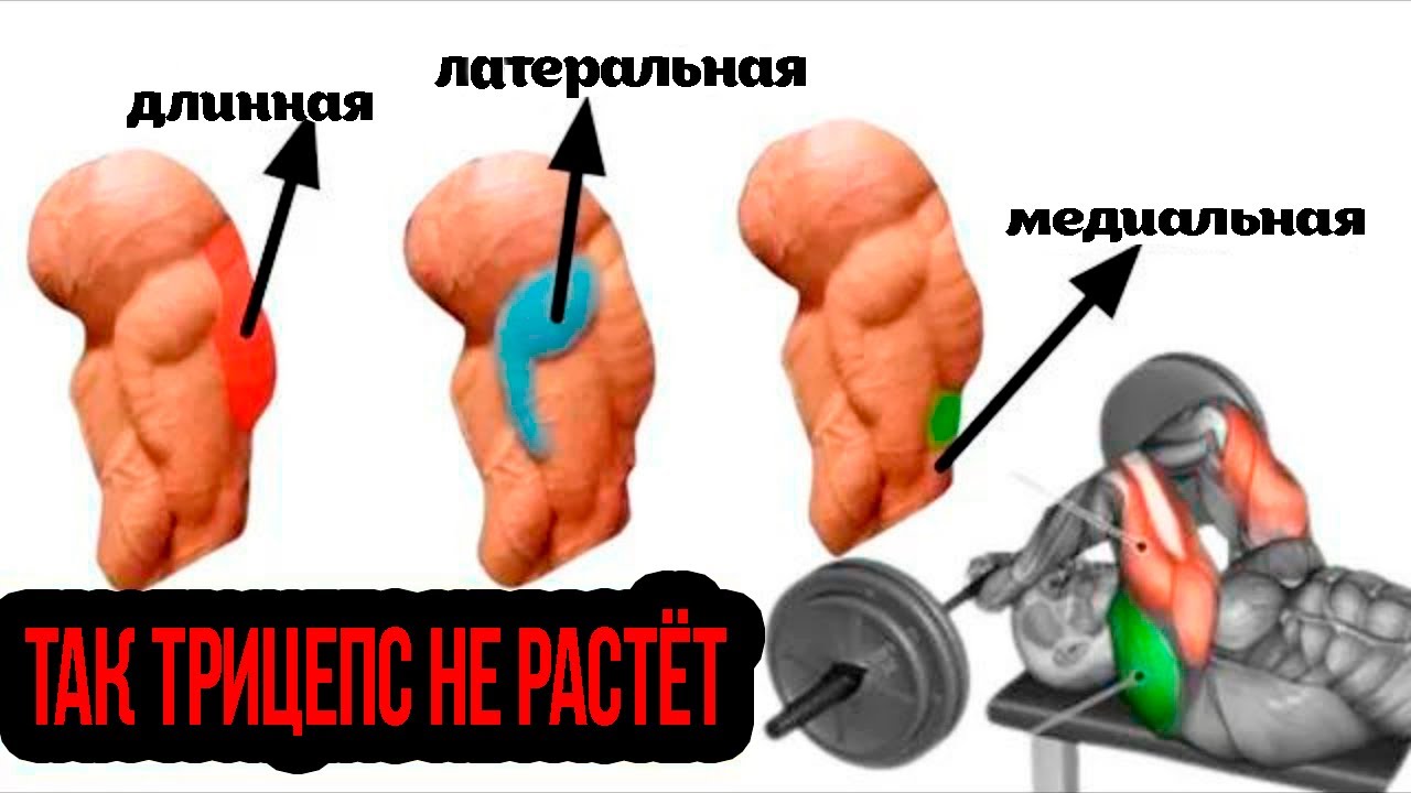 Жим узким хватом- не даст рост трицепса ! Французский жим- не даст большой жим лежа !