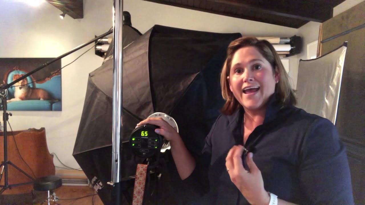Photographing Pets in Studio
