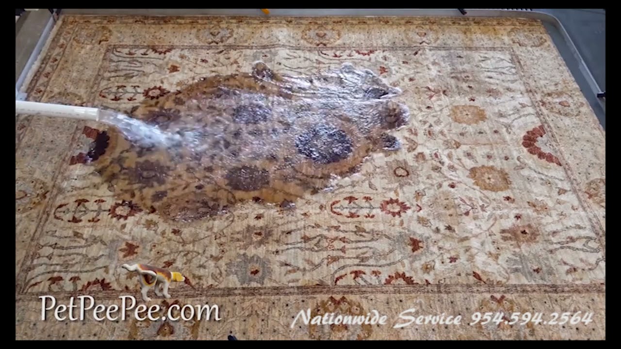 Oriental rug PetPeePee odor removal Guarantee!!!