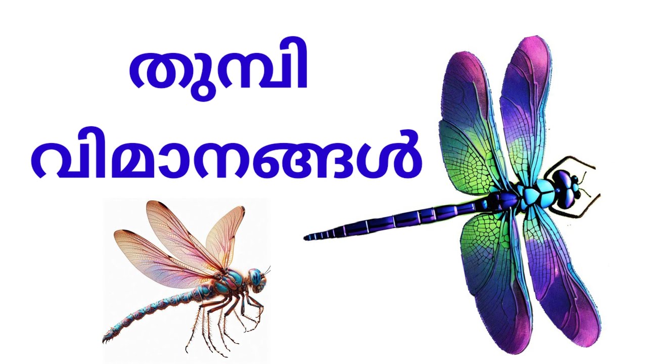 തുമ്പി വിമാനങ്ങൾ(UNIT-12/STD-1/MALAYALAM/ മലയാളം )