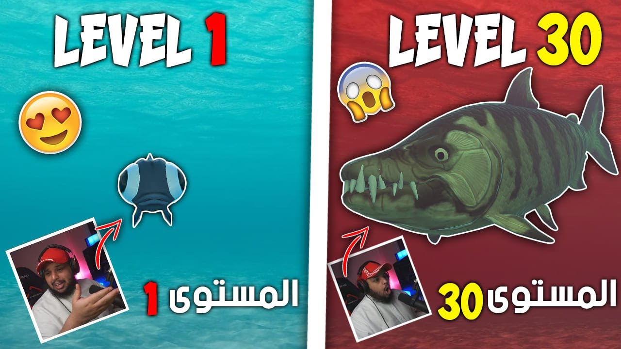 حياة سمكة من الضعف الى السيطرة | Feed and Grow: Fish