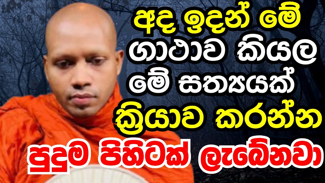 අද ඉදන් මේ ගාථාව කියල මේ සත්‍යක්ක්‍රියාව කරන්න පුදුම පිහිටක් ලැබෙනවා Ven hasalaka seelawimala thero