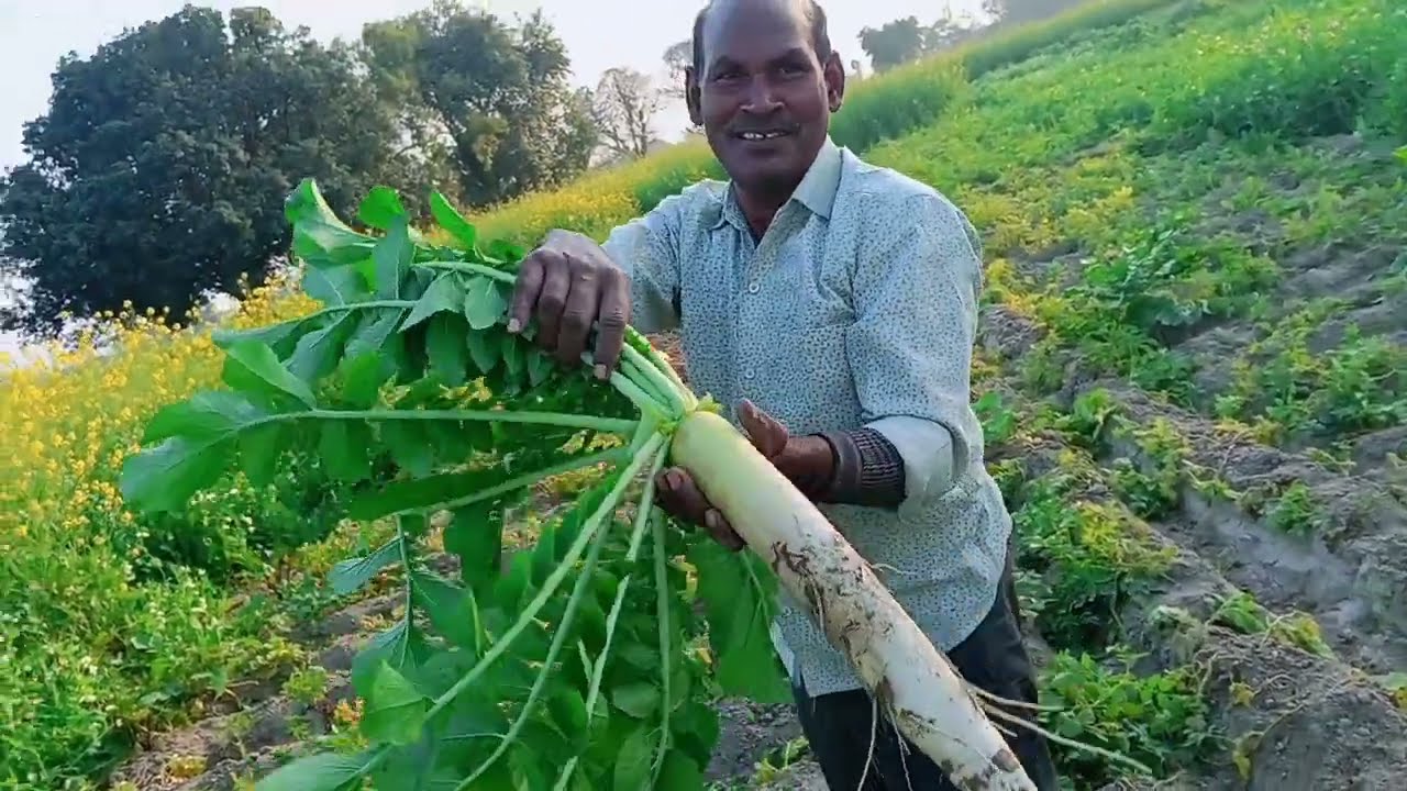 आज का वीडियो बनाना चाहिए था