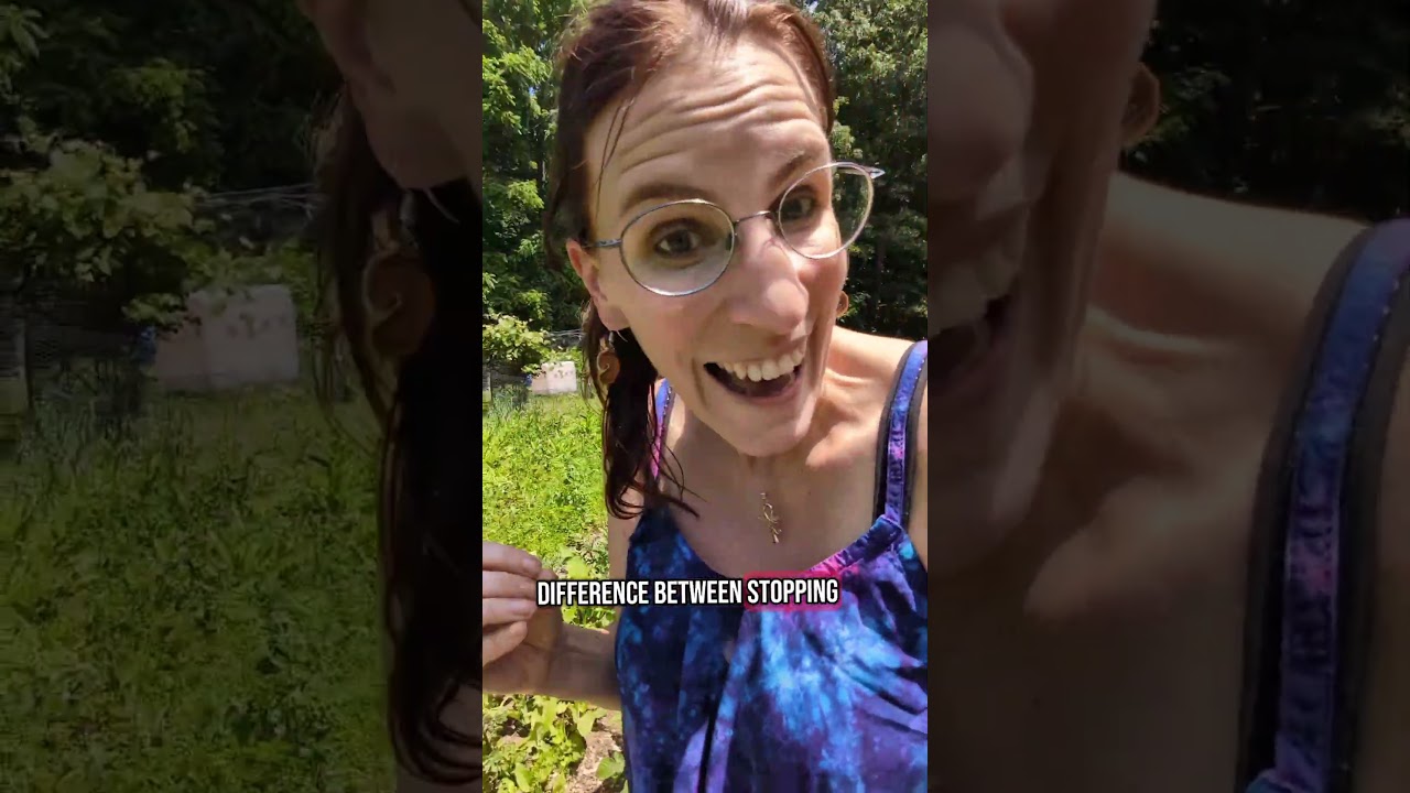 Ghost Pipe vs Wild Lettuce: which helps better with pain?