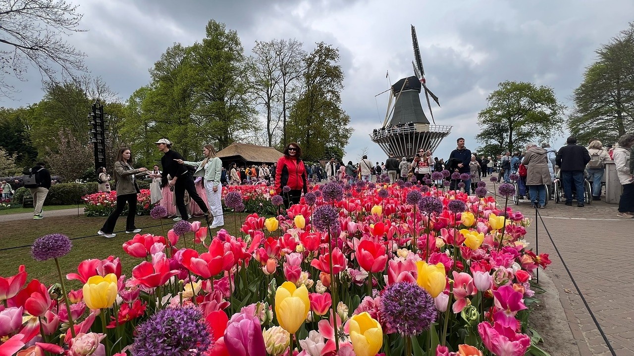 Ep.178 🇳🇱Olanda-KEUKENHOF, cea mai mare grădină de flori din Europa