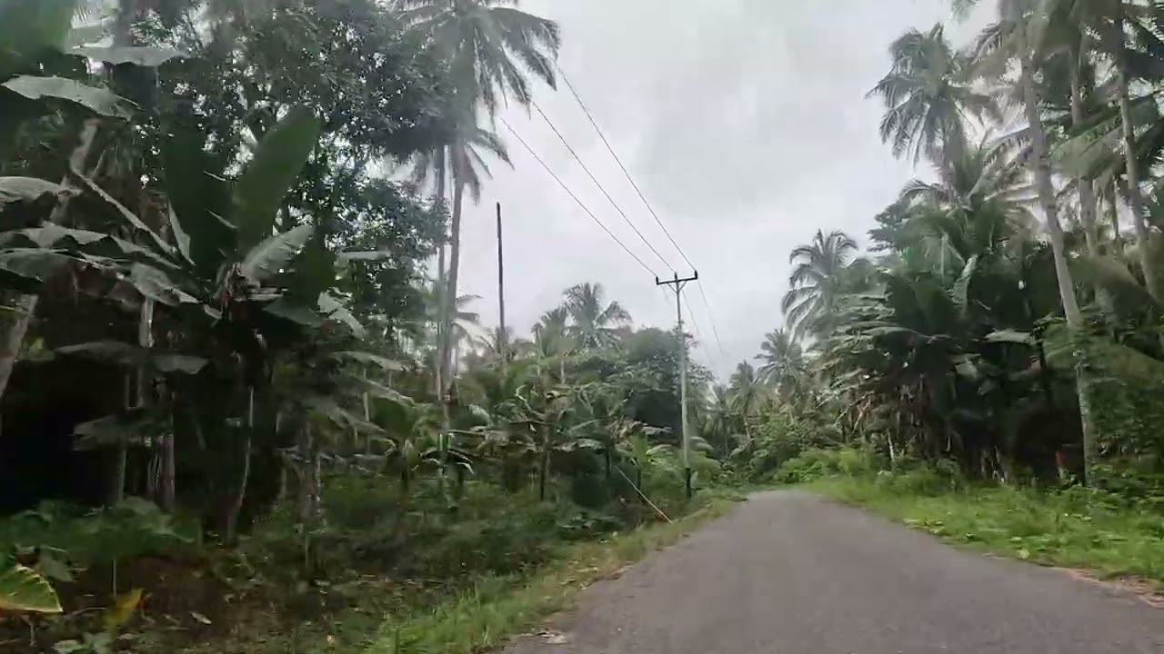 Jalan dari leo leo rao ke posi posi rao kecamatan pulau rao Pulau Morotai