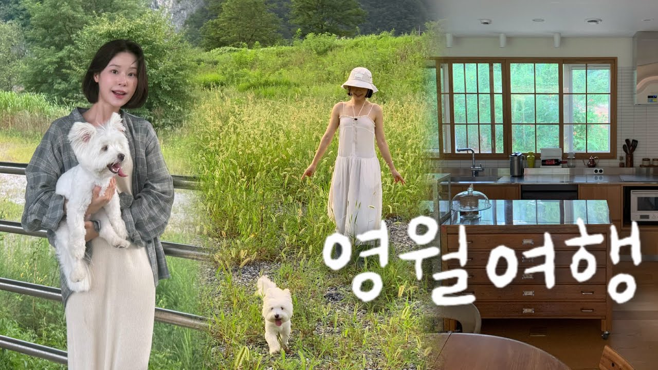 첫 여행, 사람과 강아지를 사랑하는 도시
