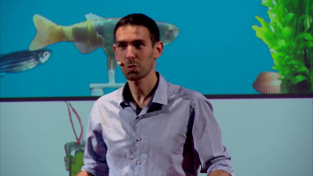 Finale MT180 2016, Frank Bonnet