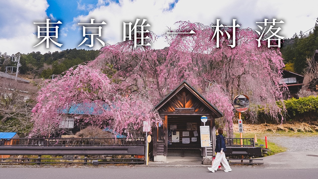 你敢信？這裡是東京唯一的村落！日本檜原村深山秘境之旅 🌲