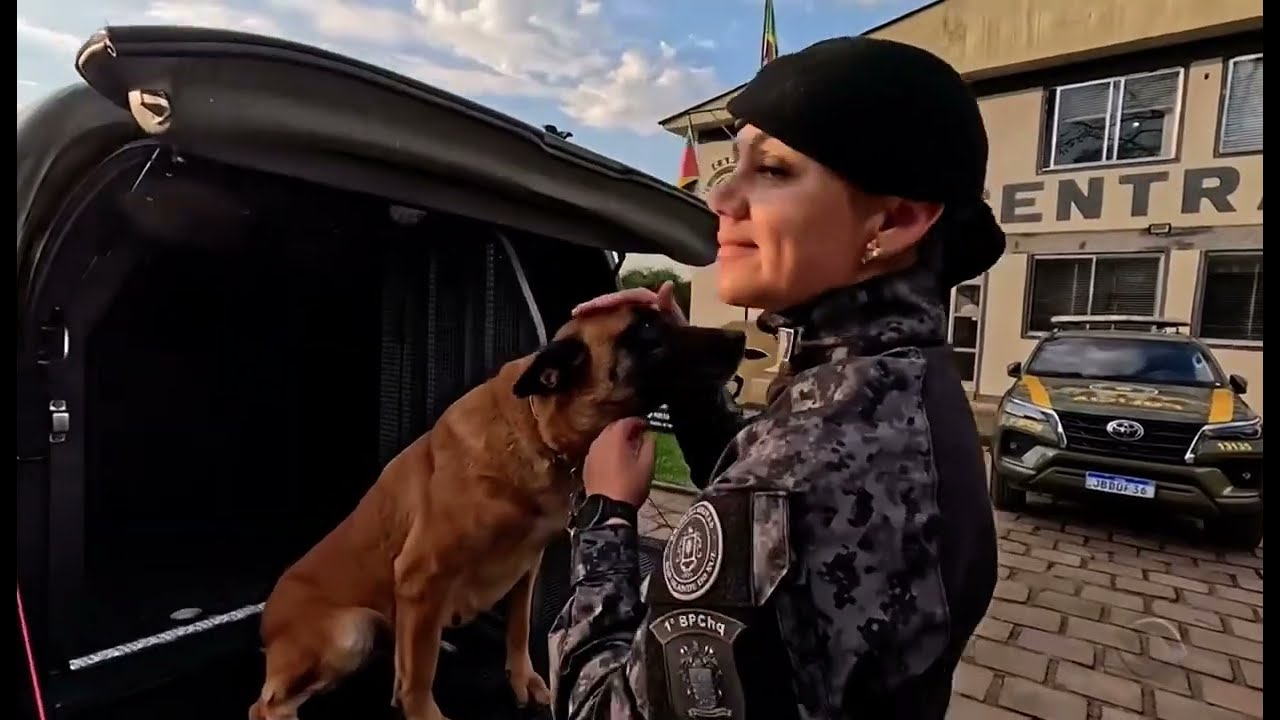 Reportagem Cães Policiais - Canil Central da Brigada Militar- RBS Notícias 11/08/2025