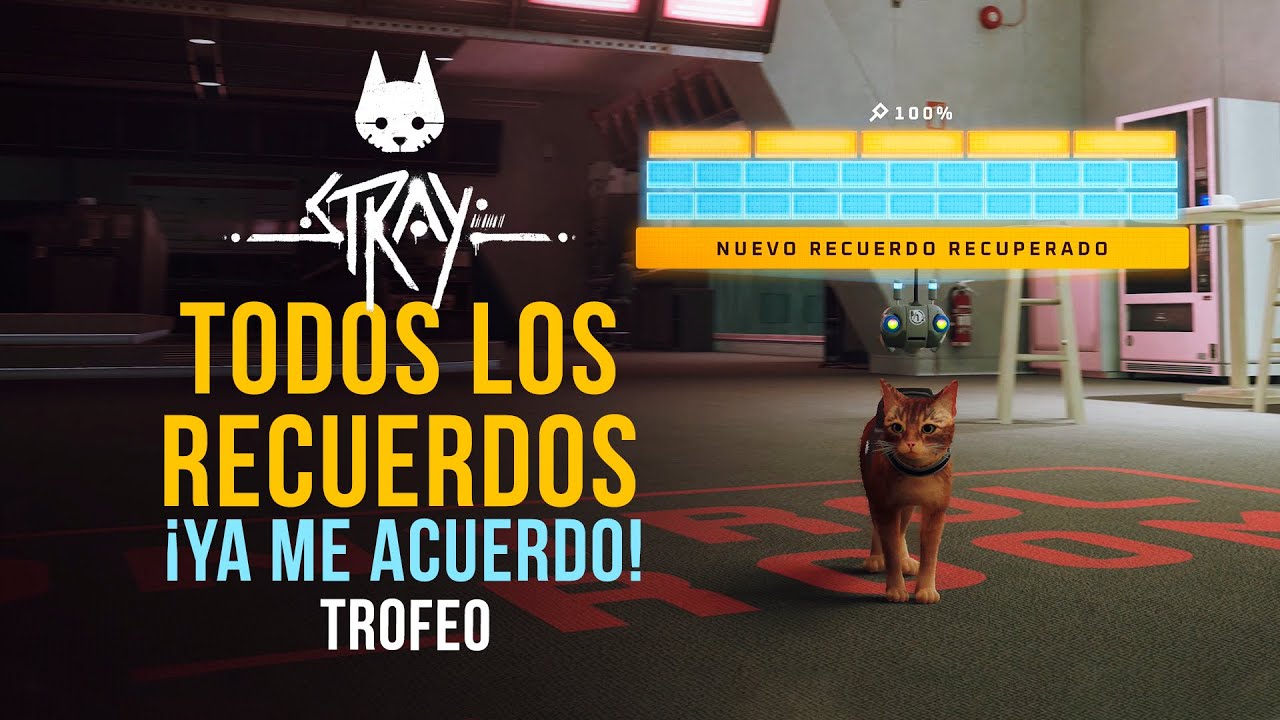 STRAY | Todos los recuerdos | Trofeo ¡Ya me acuerdo! | I Remember! | Gather all B-12 memories