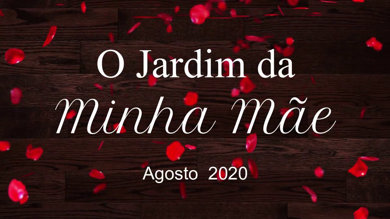 Jardim da casa dos meus pais.