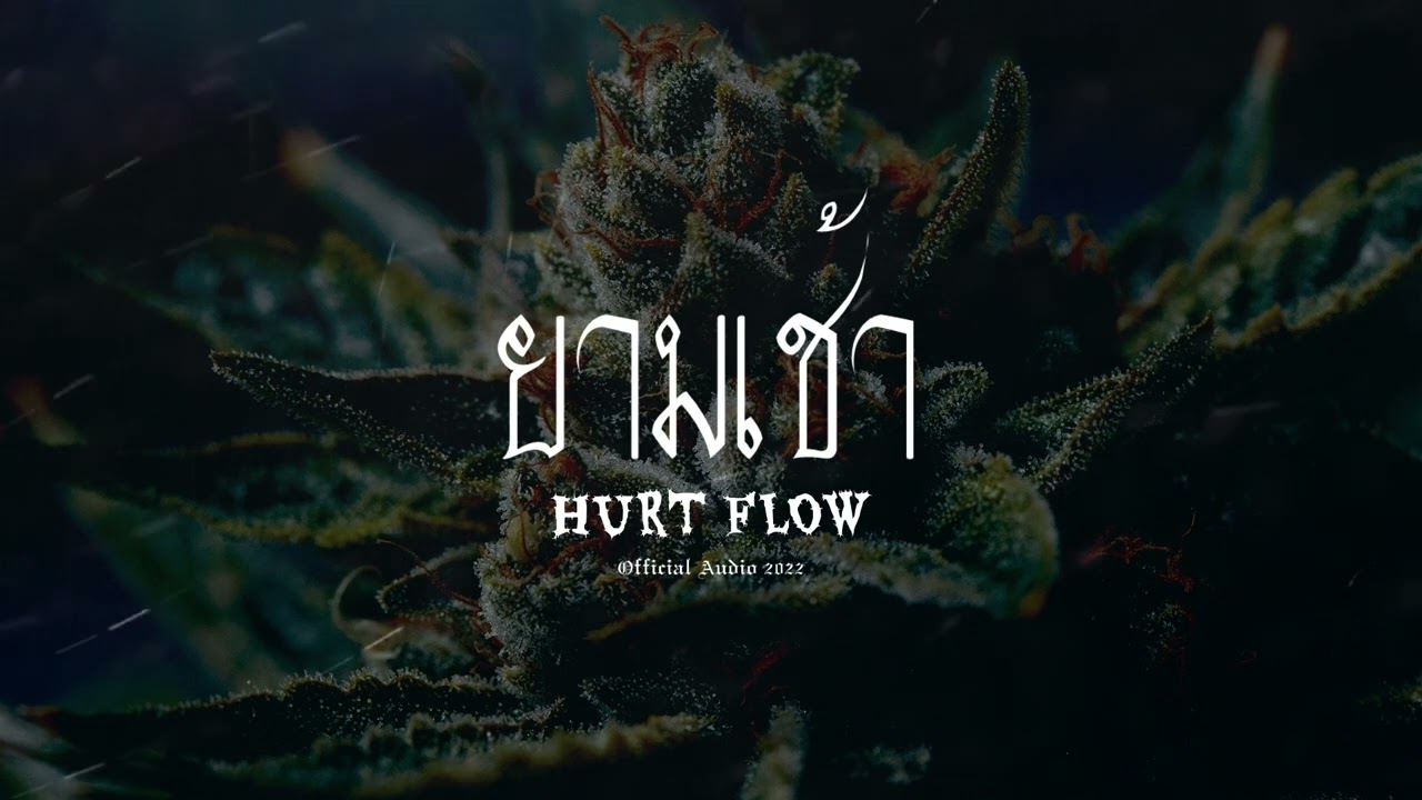 ยามเช้า - HURT FLOW [ Official Audio ]
