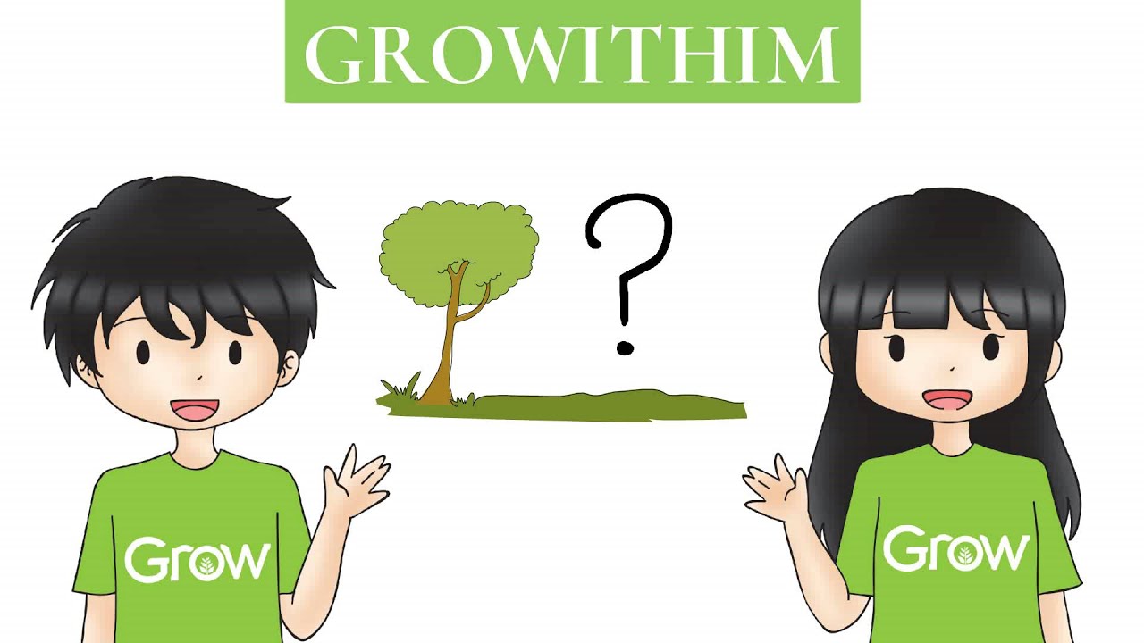 Is Bamboo Tree or Grass?