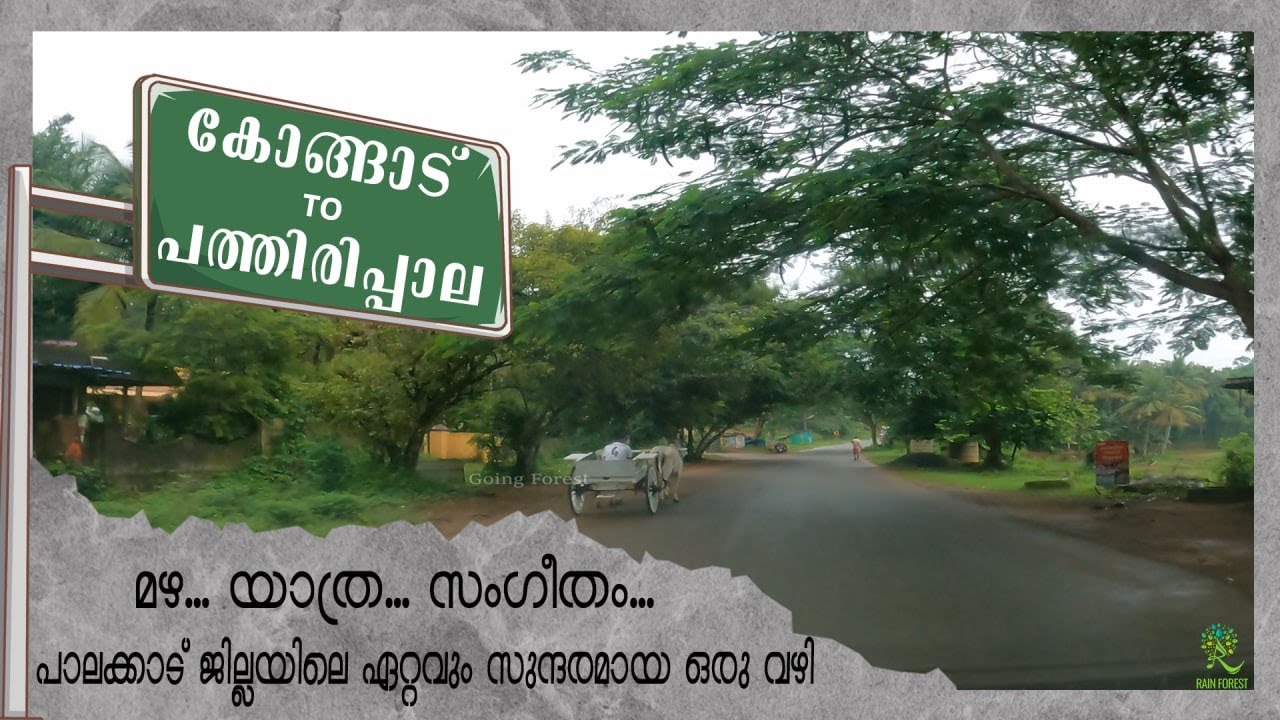 One of the most beautiful road in Palakkad, Kerala | Kongad to Pathirippala | Going Forest