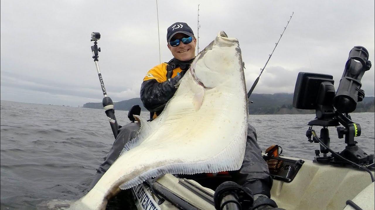 Big Halibut From a Kayak