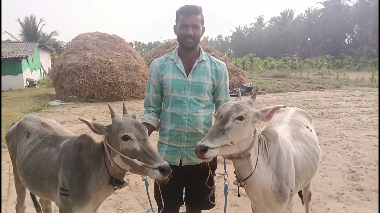 Basavanahalli Koppal 