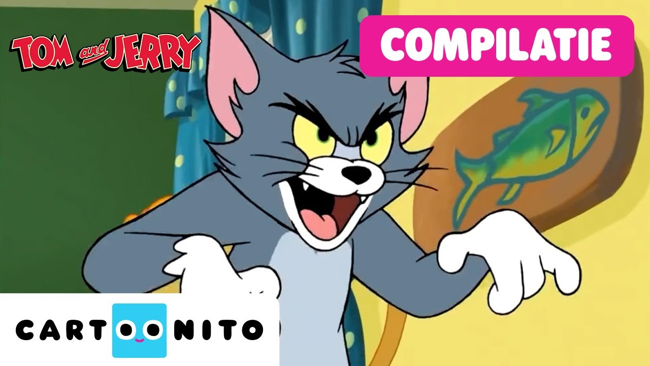 Het beste van Tom en Jerry: tijdloze compilatie van de grappigste momenten  | Cartoonito