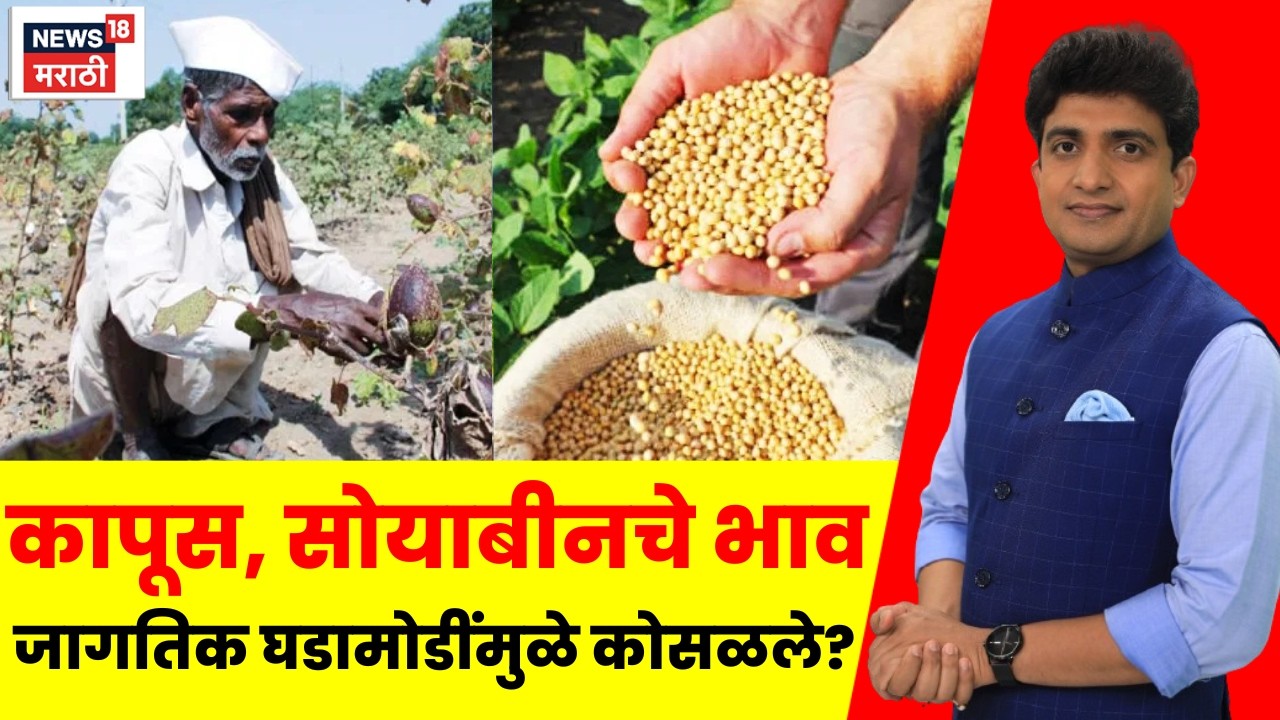 Maharashtra Farmer Breaking News | कापूस, सोयाबीनचे भाव जागतिक घडामोडींमुळे कोसळले का? | Bade Mudde