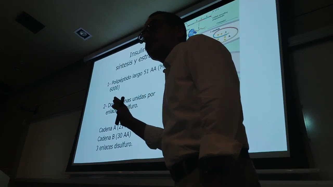 Fisiología 7