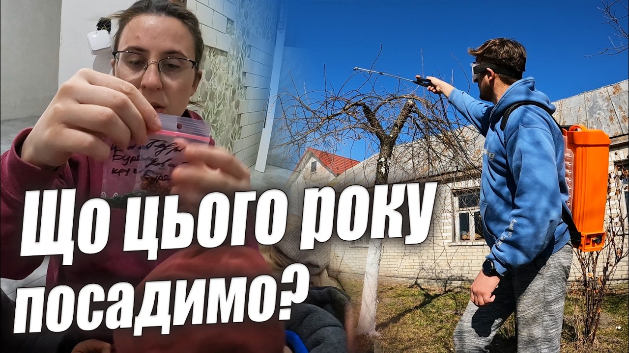 Вітер порвав теплицю || Купили насіння || Обробка дерев Бордовською || Підживлення саду