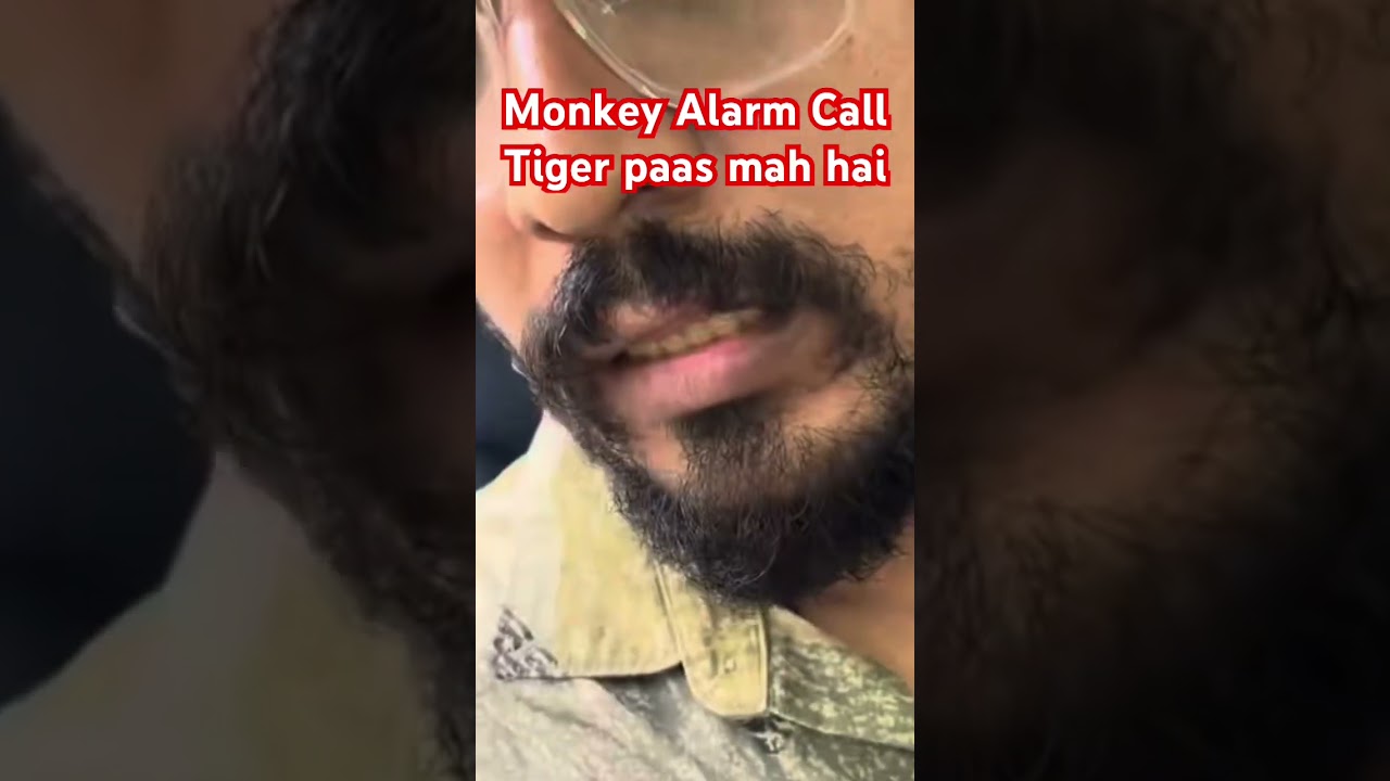 Tiger Paas Mah Hai 