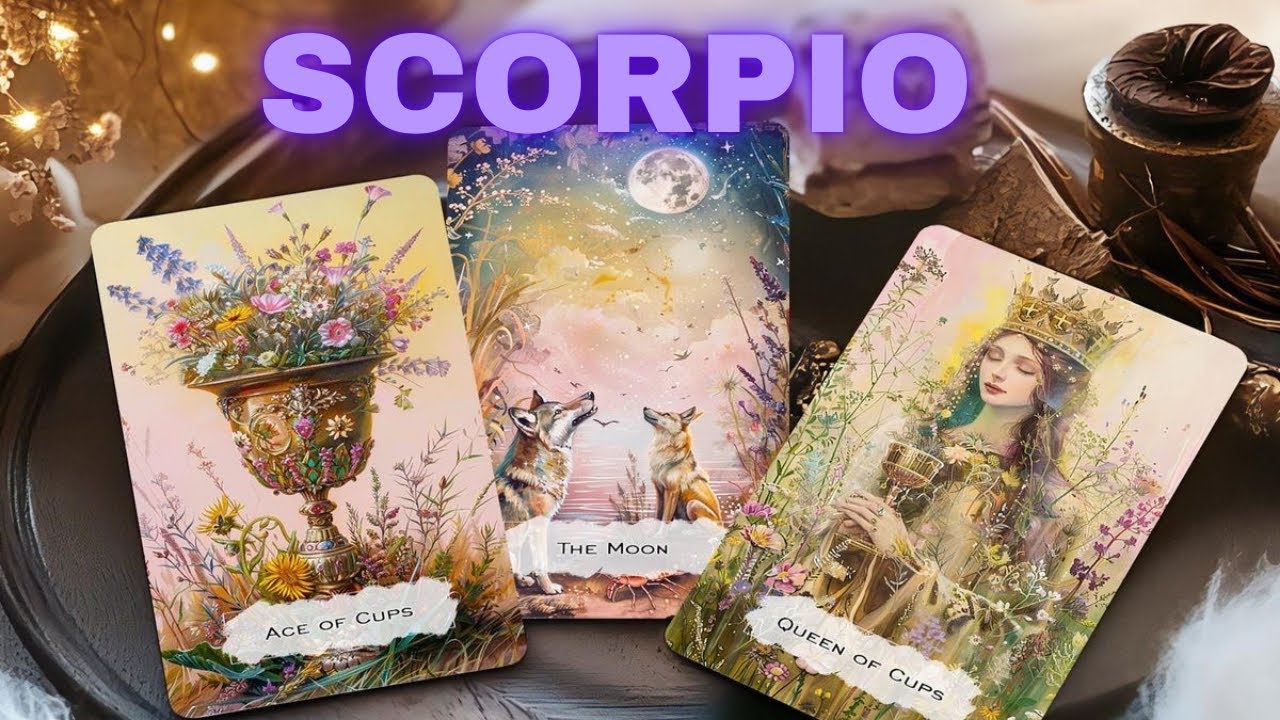 SCORPIO ❤️ ✨, THIS IS YOUR FUTURE SPOUSE😍STOP OVERTHINKING‼️YOU'RE ABOUT TO GET POPULAR 😱💥Jan