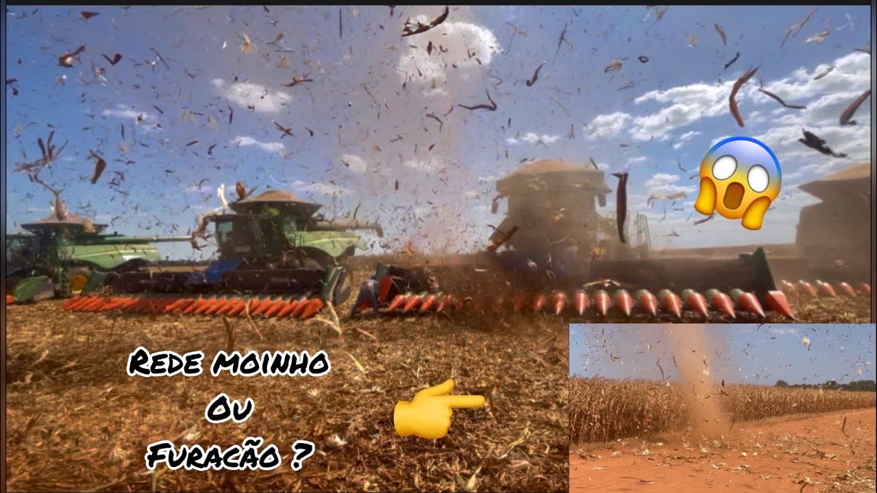 Ep 204 O responsável pelo milho caído 😱   Feedback sobre a JAN 45,000