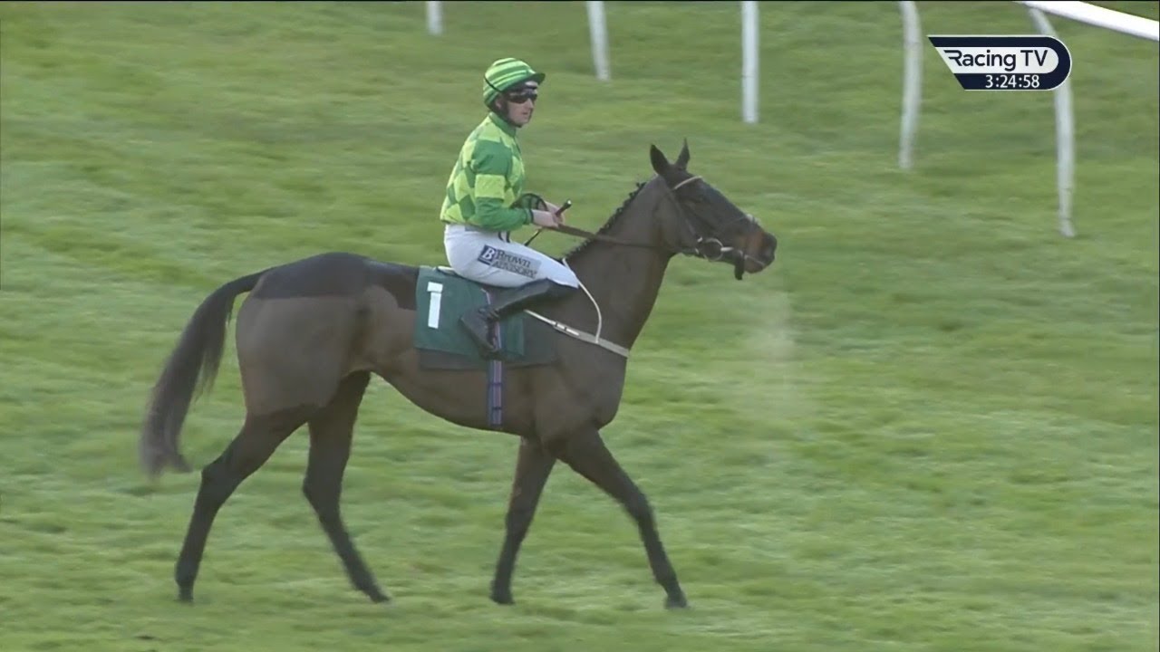 Patrick & Willie Mullins combine with Clay Pigeons at Catterick