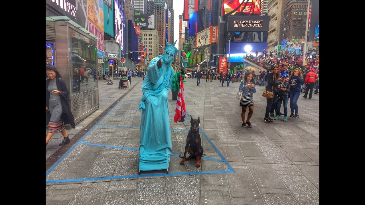 New York Dog Trainer: Doberman Off Leash in NYC-Best Dog Trainers in NY