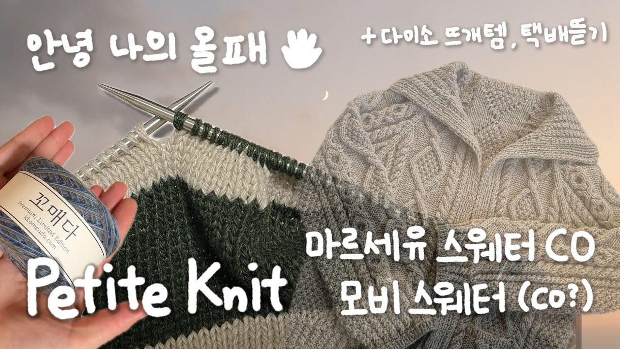 [2% 뜨개로그] 마르세유 스웨터 (1) COㅣ눈물의 올드패션드가디건ㅣ다이소 뜨개템 만들기ㅣ원형뜨기 배색 단차 팁ㅣ꼬매다 뜨개실ㅣ모비스웨터 찍먹