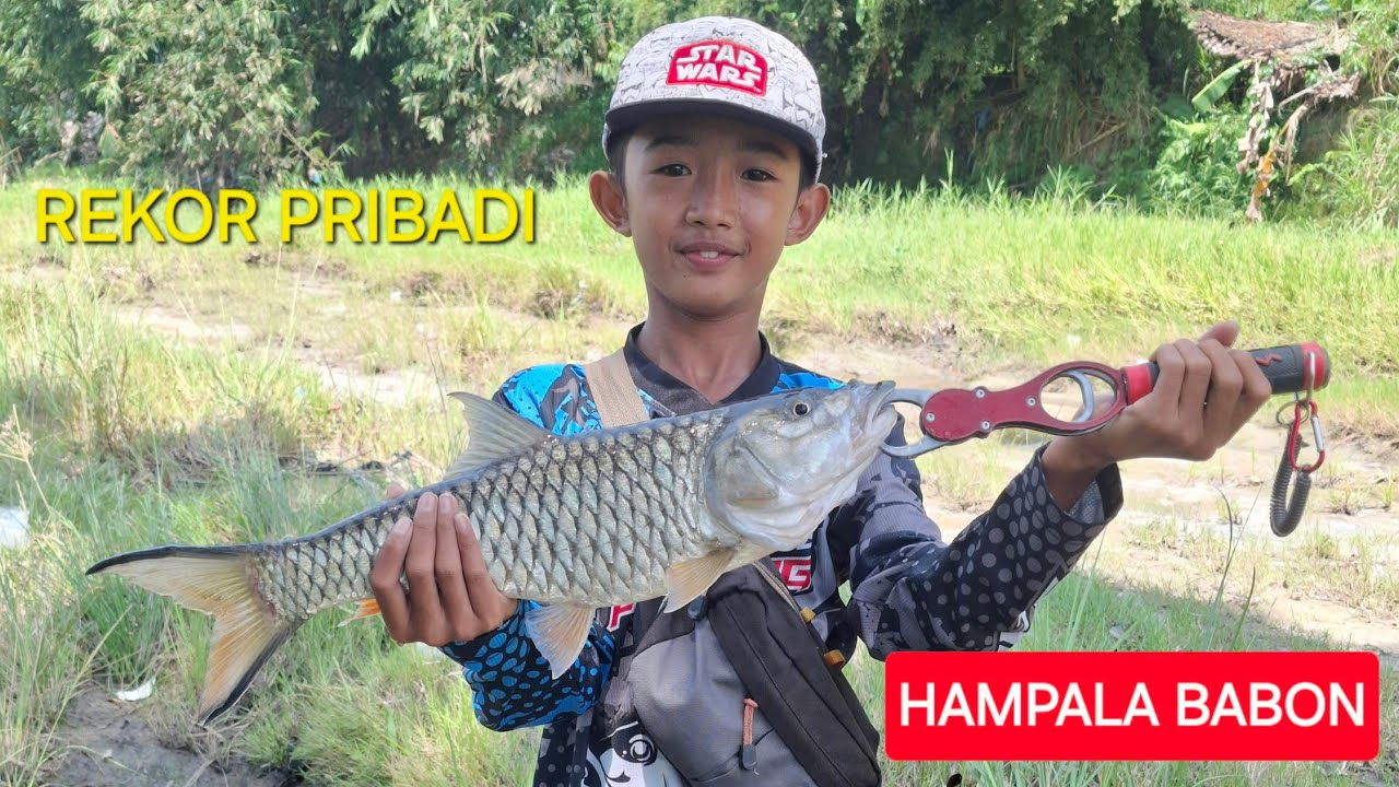 REKOR HAMPALA TERBESAR ANAK LANANG 🤤 AUTO SENYUM SENYUM 🫣