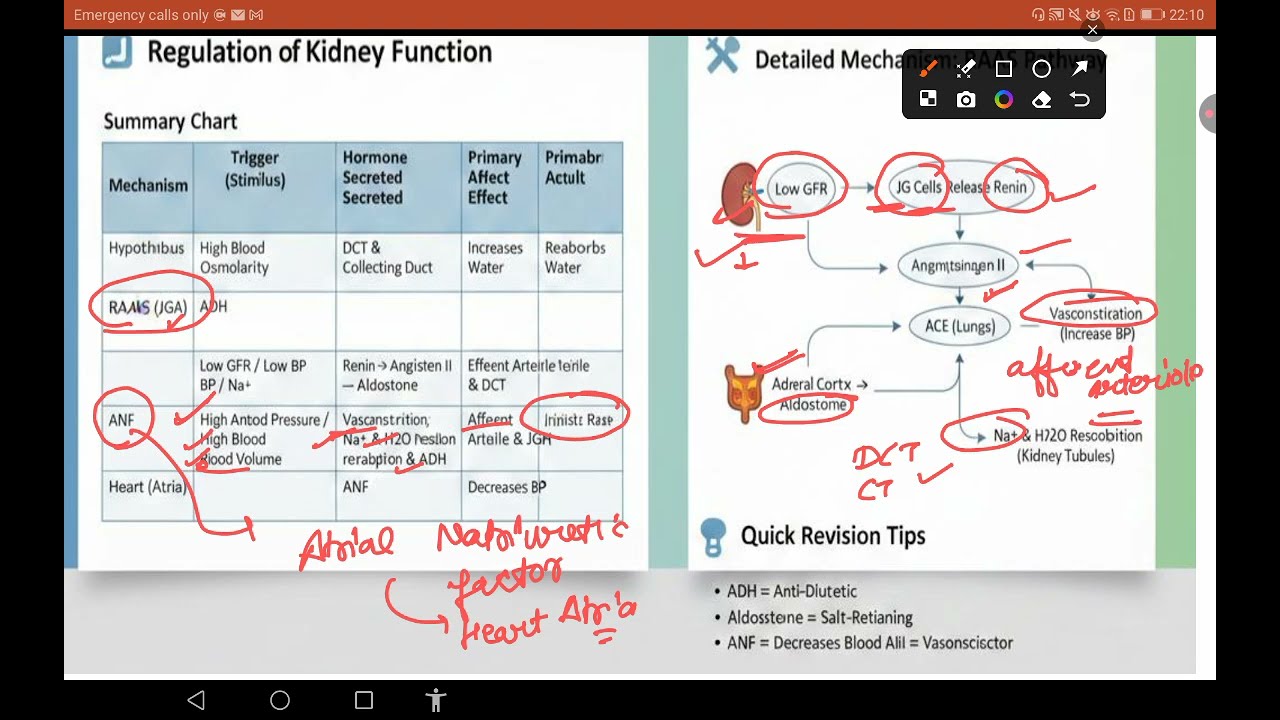 Excretory Products&Their Elimination part-3#Regulation of kidney function#emrs#biology #pgtbiology#