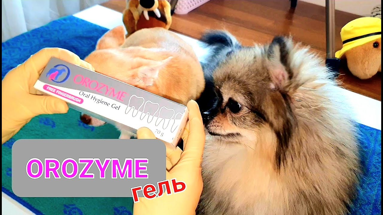 Orozyme гель для гигиены полости рта у собак