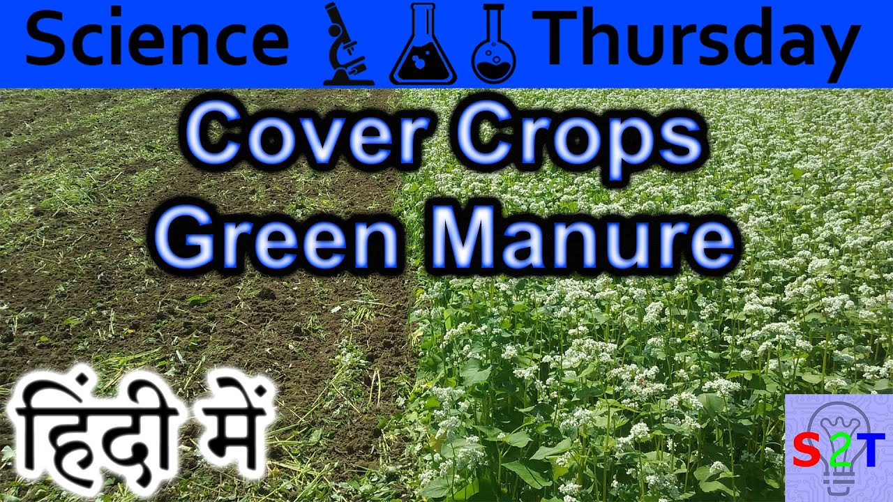 Cover Crops Explained In HINDI {Science Thursday}