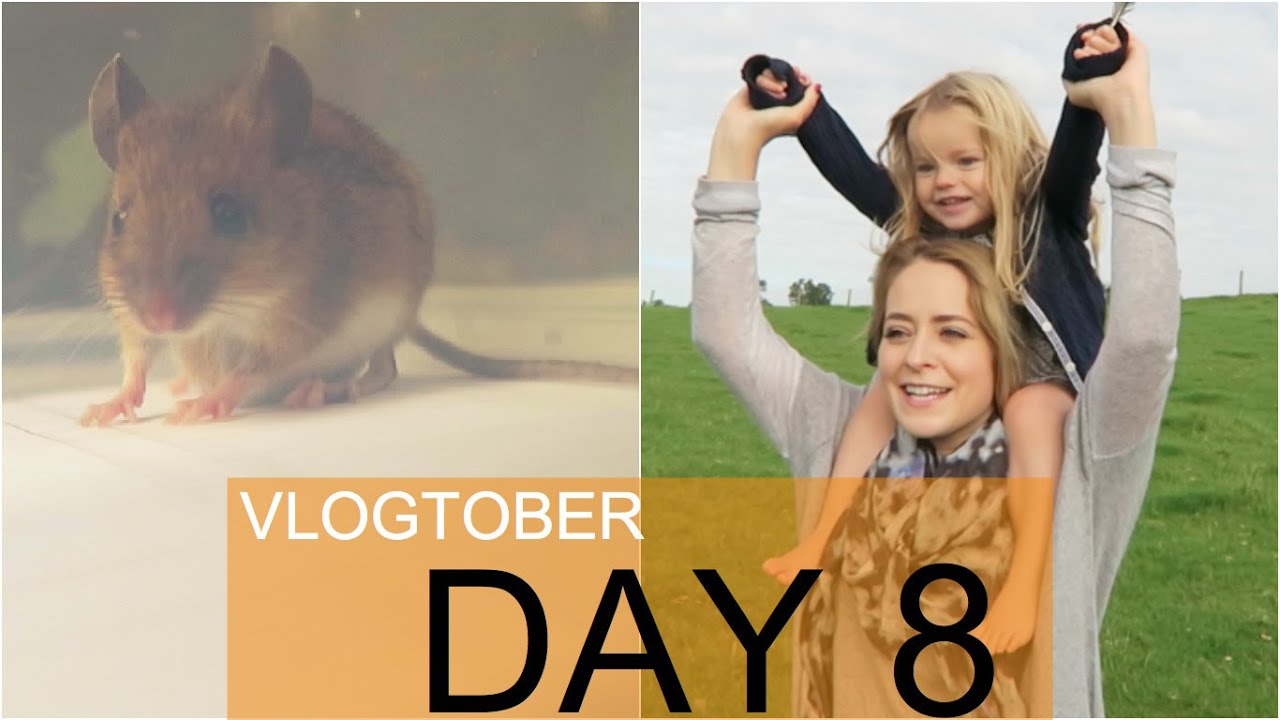 MOUSE in the HOUSE! Vlogtober 8