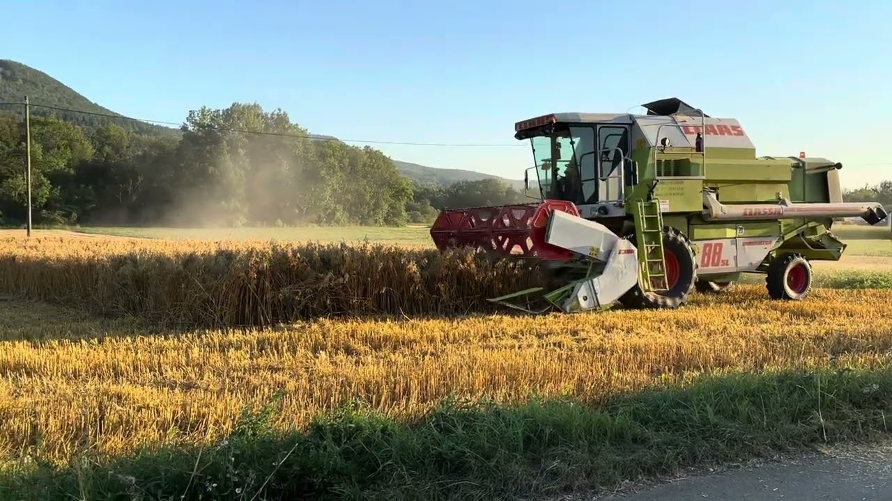 Almanya’da Ekin biçme zamanı