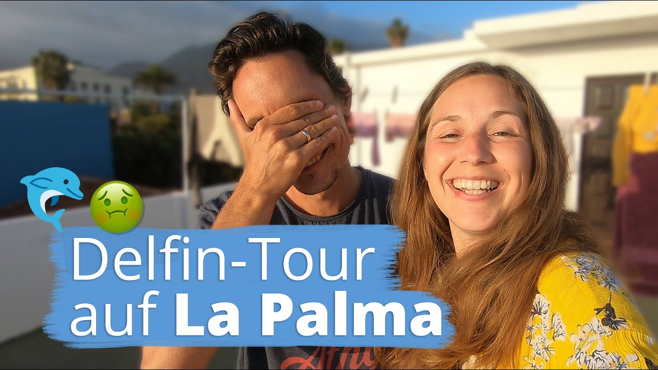 Wale und Delfine vor La Palma - auf den Spuren von Flipper🐬