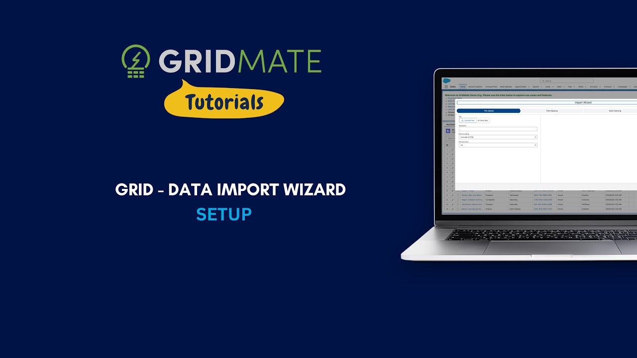 GridMate - Data Import Wizard