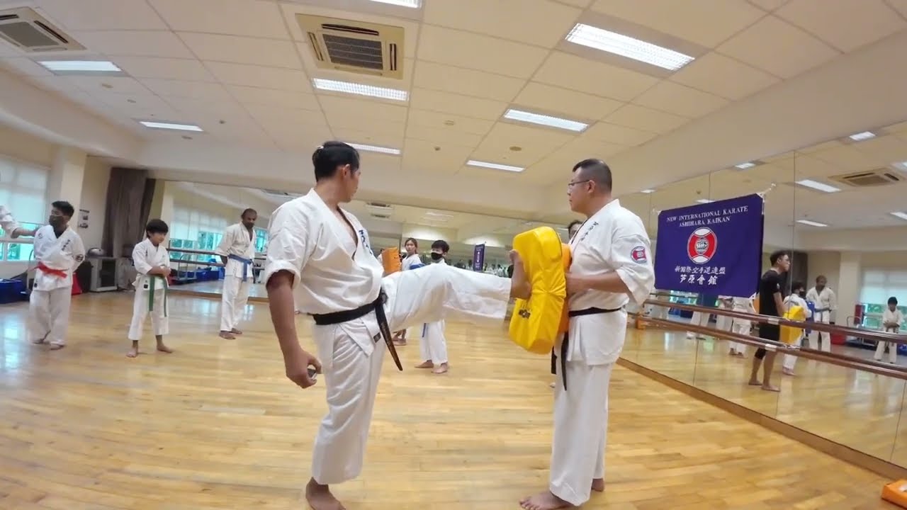 Ashihara Karate: Stopping Kick Training with Pads