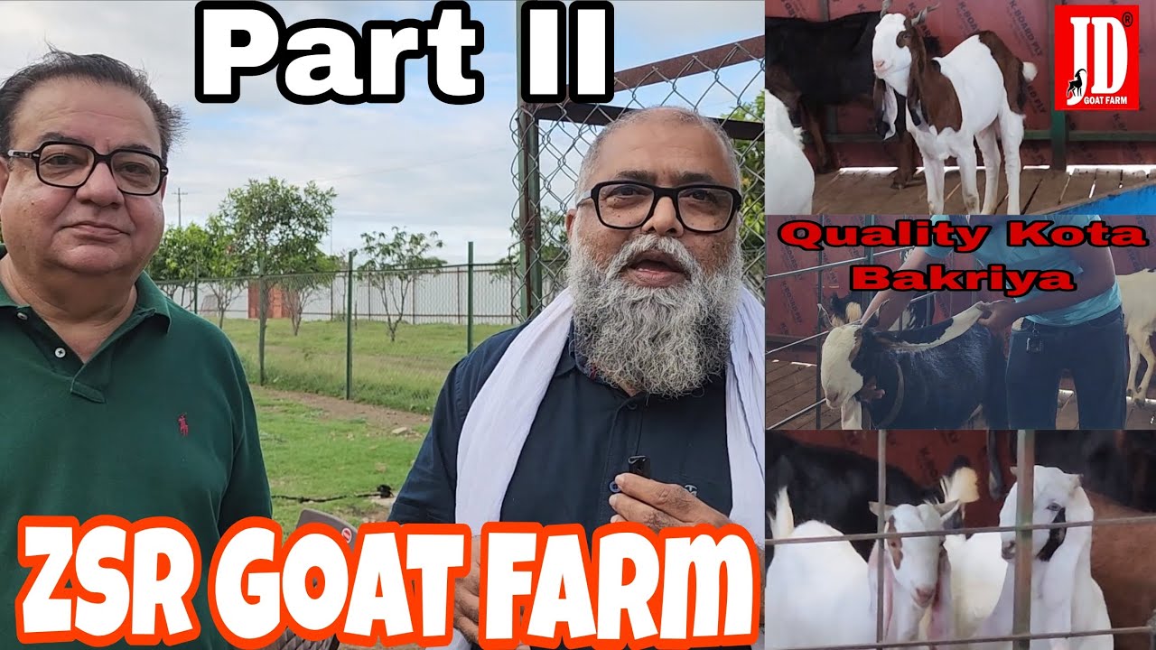 One of the Biggest Breeding Farm Tour ZSR Goat Farm Pune Part II  | Jd Goat Farm |