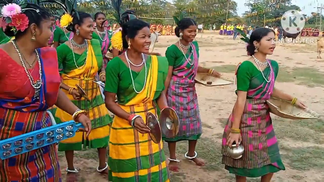 Birshing dih sohray 2024 jharkhand disom 