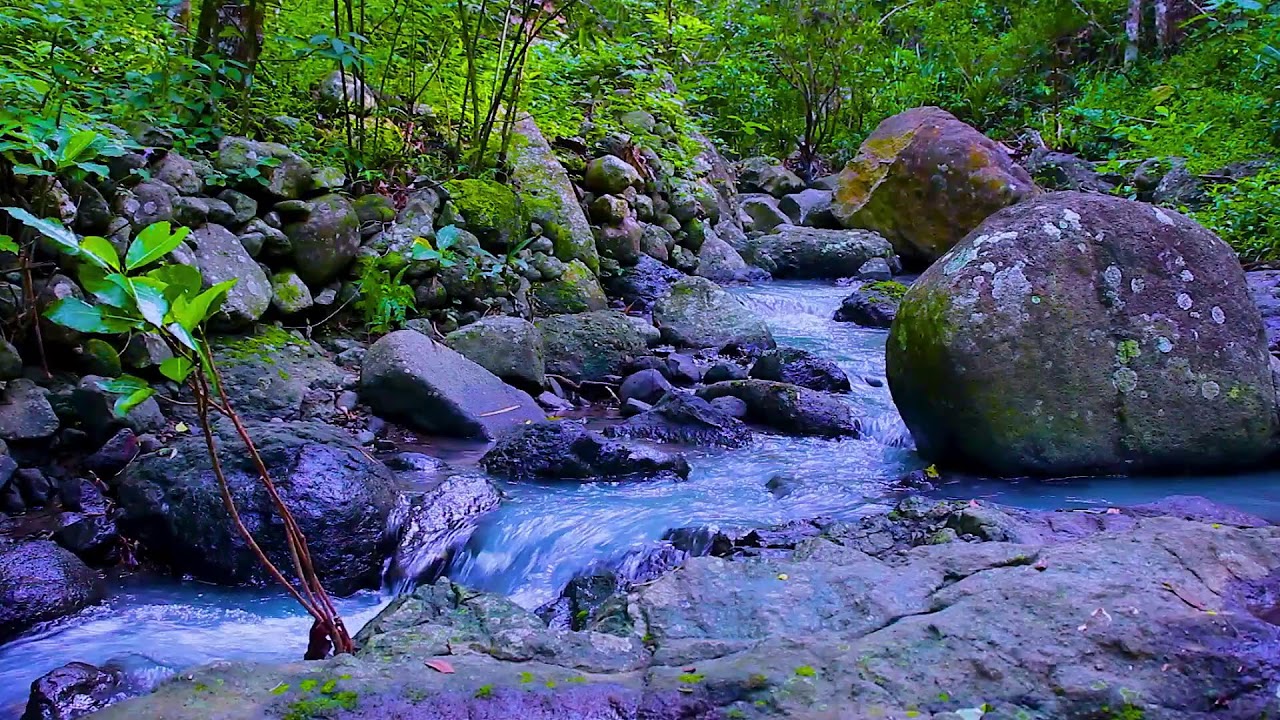 Mountain River Flowing Sounds for Study, Creativity, and Distraction Free Focus