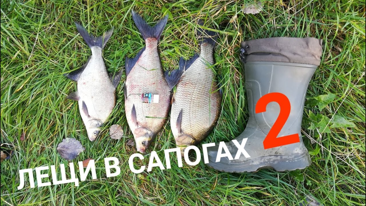 Странно, но это РАБОТАЕТ! Долгожданные лещи на искусственную приманку.