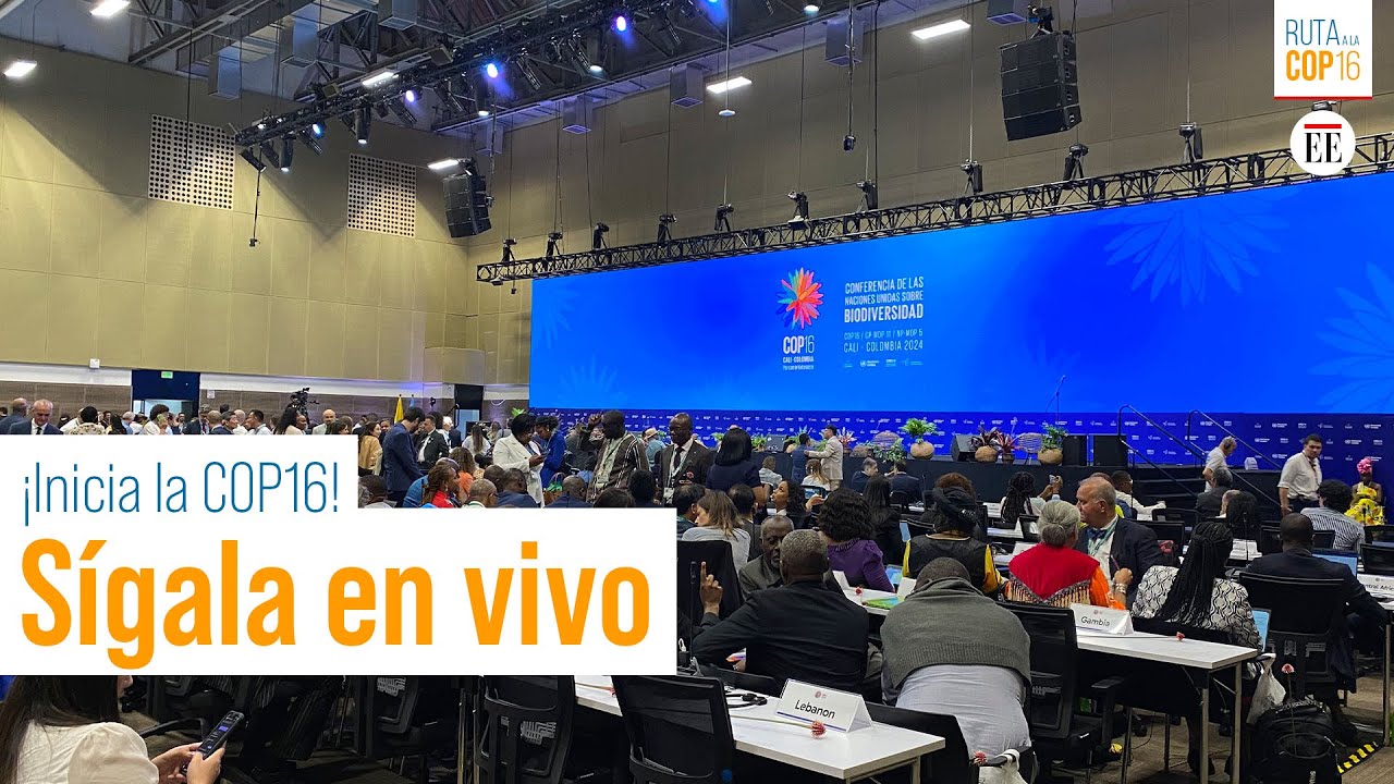 En vivo: ¡Se inicia la COP16! Siga la ceremonia de apertura | El Espectador