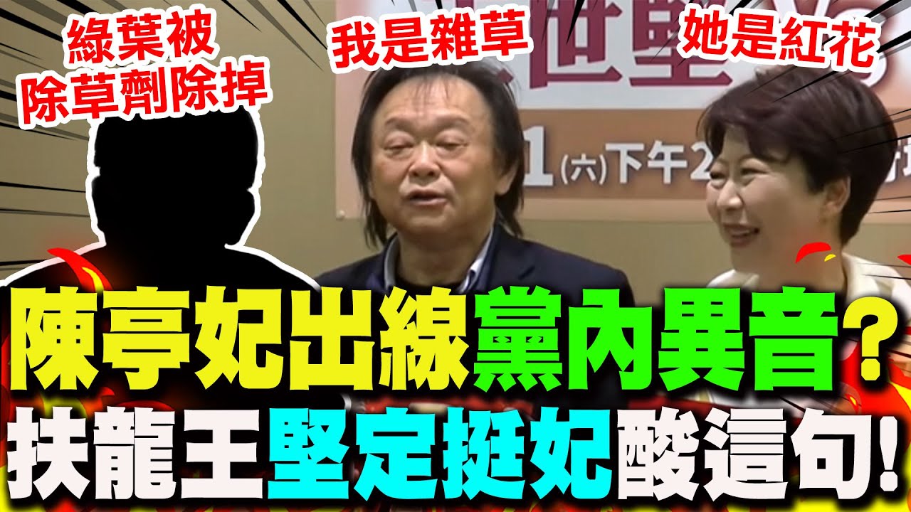 【全程字幕】陳亭妃台南市長出線"黨內異音"? 扶龍王"堅定挺妃"酸:綠葉在初選被除草劑除掉!
